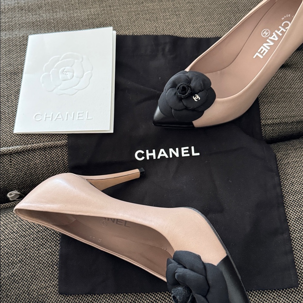 Chanel - Picture 1 of 13